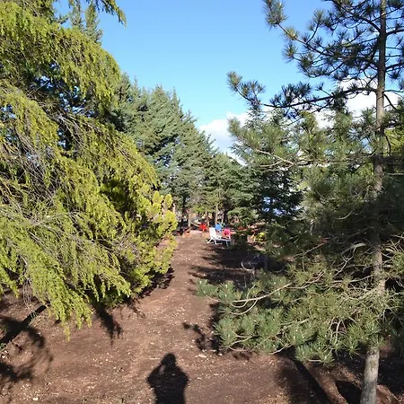 Le Stagioni Castel Del Monte (Apulia)