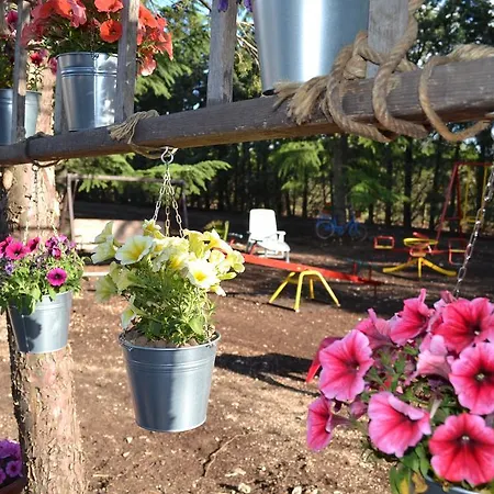 Bed & Breakfast Le Stagioni 3*