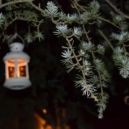 Le Stagioni Bed & Breakfast Castel Del Monte (Apulia)