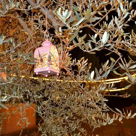 住宿加早餐酒店 Le Stagioni 3*