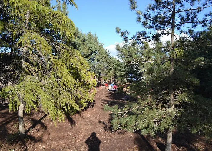 Le Stagioni Castel Del Monte (Apulia)
